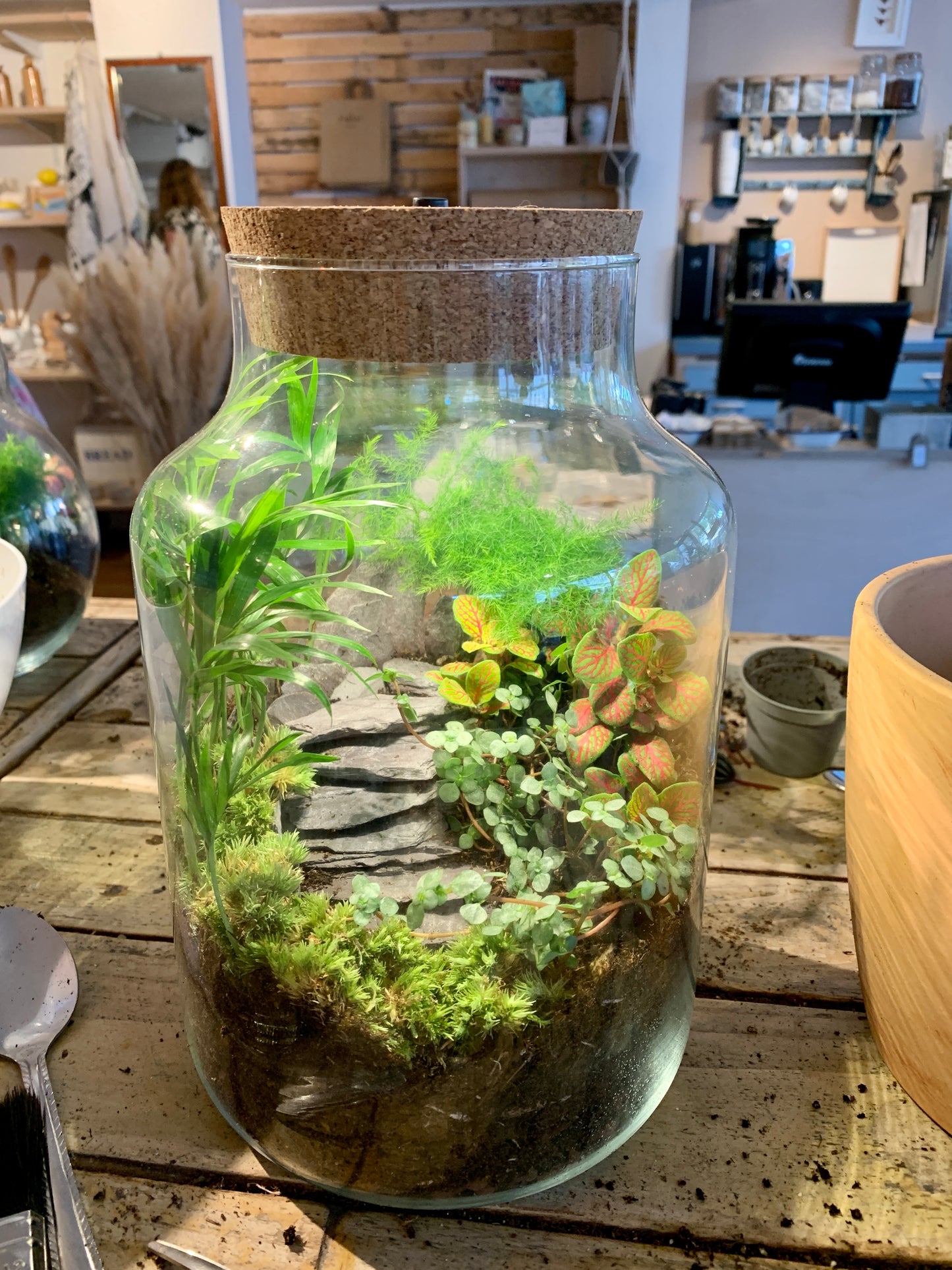 Terrarium Workshop Gift Voucher