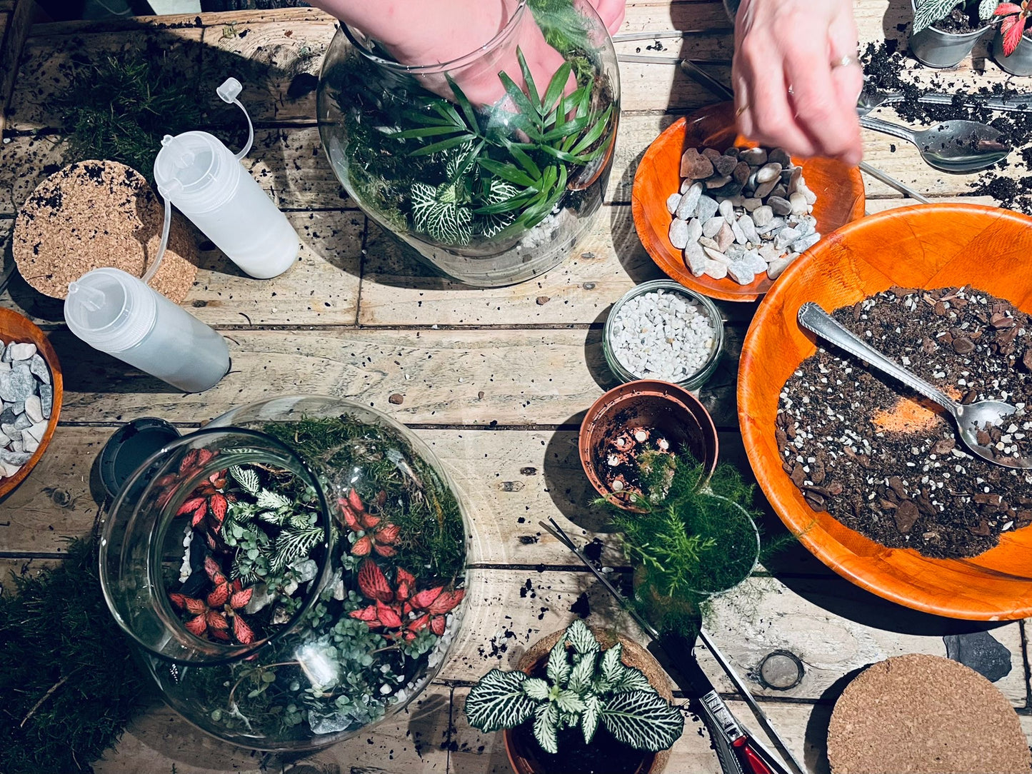 Thursday, 11th December. 6 - 8pm